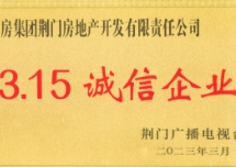 1703064002311162